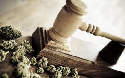 35 Years Ago Today: DEA’s Chief Administrative Law Judge Ruled That Cannabis Should Be Reclassified Under Federal Law