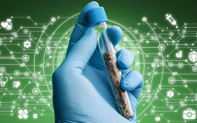 Report: Leaked HHS Letter Calls Upon DEA to Reschedule Cannabis