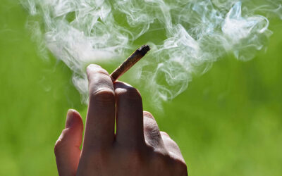 Survey Highlights Changing Perceptions Regarding Cannabis and Tobacco