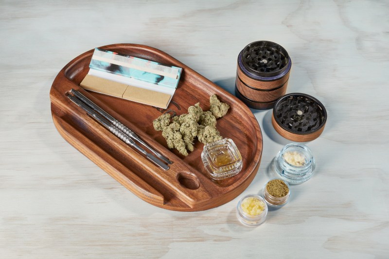 Cannabis consumers who caught COVID had ‘better outcomes and mortality’ than non-consumers, study finds