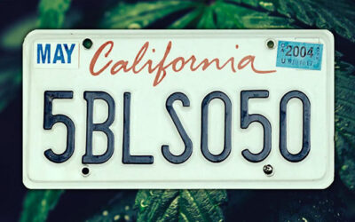 California: Bills Expanding Marijuana Rights for Patients, Employees Advanced to Governor’s Desk