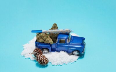 Traffic Death Rates Fell In States That Legalized Marijuana, New Study Finds, While Those That Kept Criminalization Saw ‘Slight Increase’