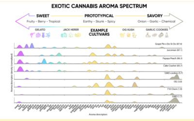 What gives weed its unique aroma? (Hint: it’s not just terpenes)