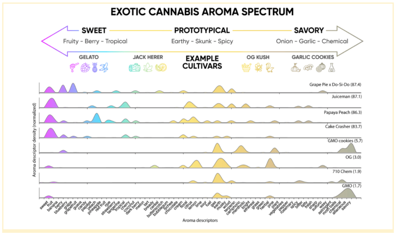 What gives weed its unique aroma? (Hint: it’s not just terpenes)