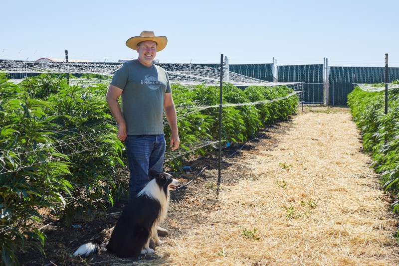 The Michelin-star weed experience at Sonoma Hills Farm