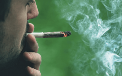 California: Legislation Advanced to Governor Permitting Live Events at Marijuana On-Site Consumption Lounges