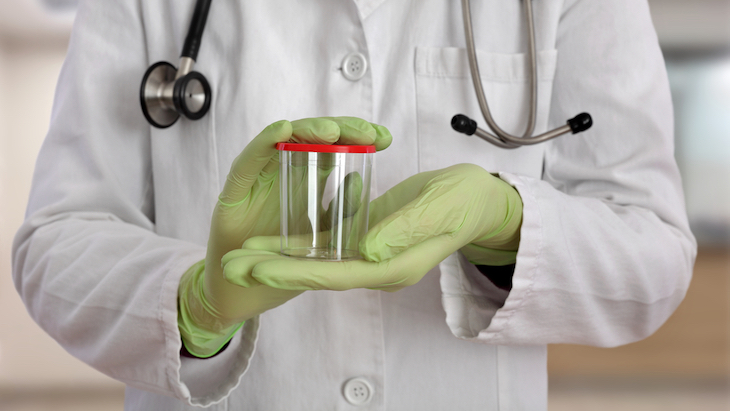 Survey: Most Truck Drivers and Their Carriers Favor Changes in Federal Marijuana Testing Rules