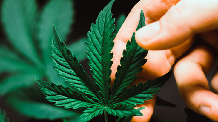 I’m Interning With NORML to Promote Personal Freedoms