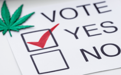 Ohio: Latest Polling Finds Marijuana Legalization Ballot Measure “Almost Certain” To Pass