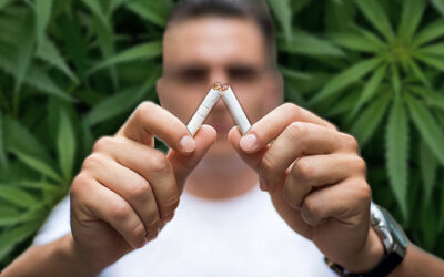 NORML Op-Ed: The Science Is Clear — Marijuana Is Safer Than Tobacco
