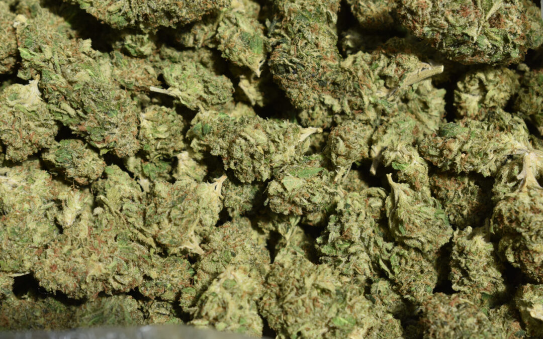 Advocates in Lubbock, Texas Collected Enough Signatures for Weed Decriminalization Initiative