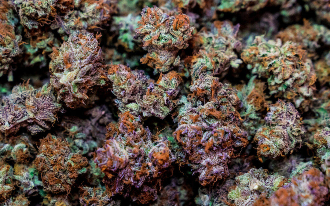 New York Judge Approves Two Cannabis Retailers To Open