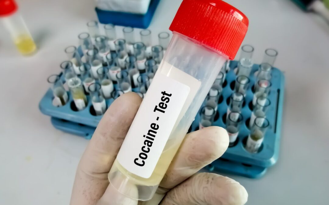 Florida Sheriff’s Office Stops Using Cocaine Test Kit Due to Concerns of False Positive Results