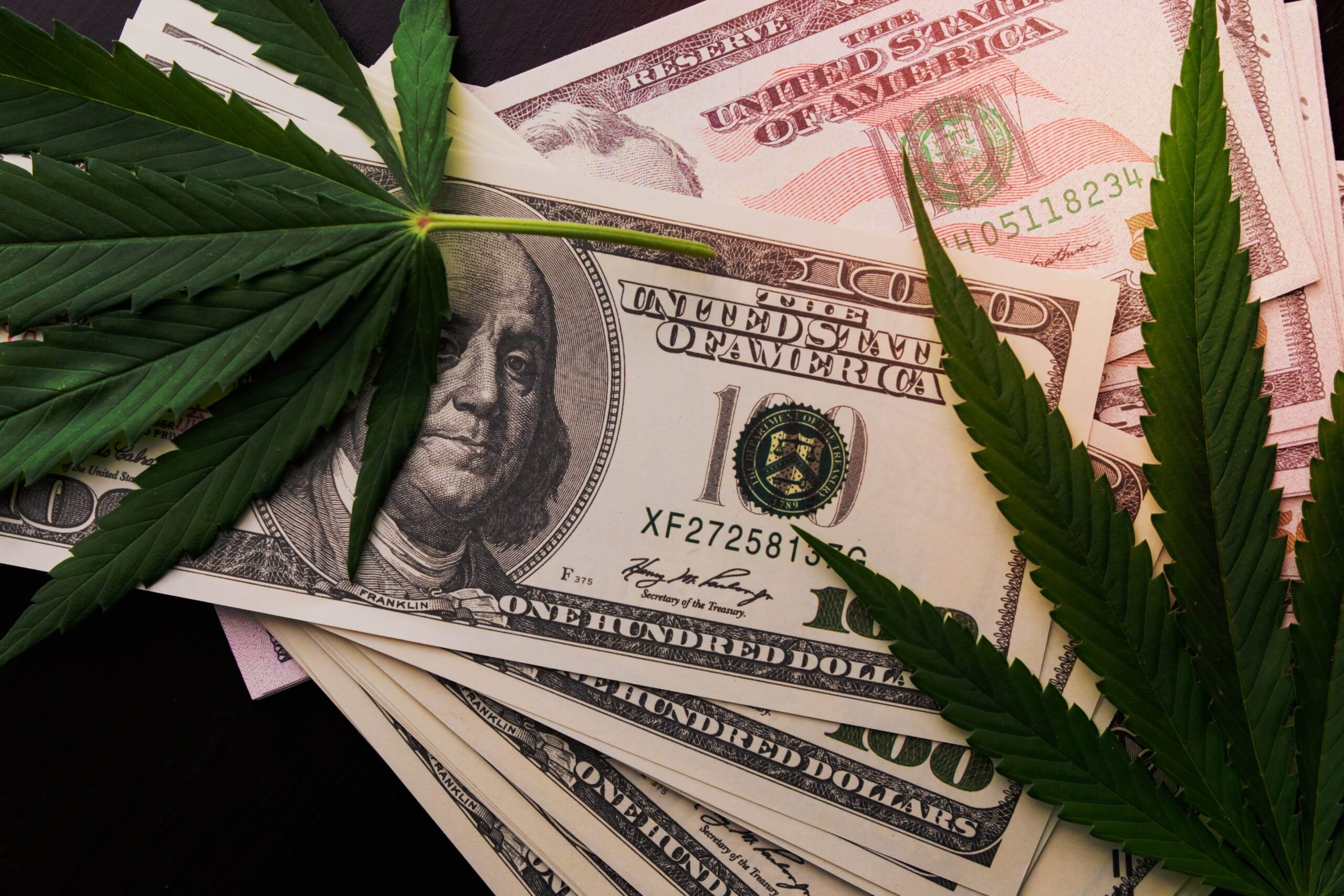 SAFER Banking Act Passes Senate Committee, Moves to Floor Vote