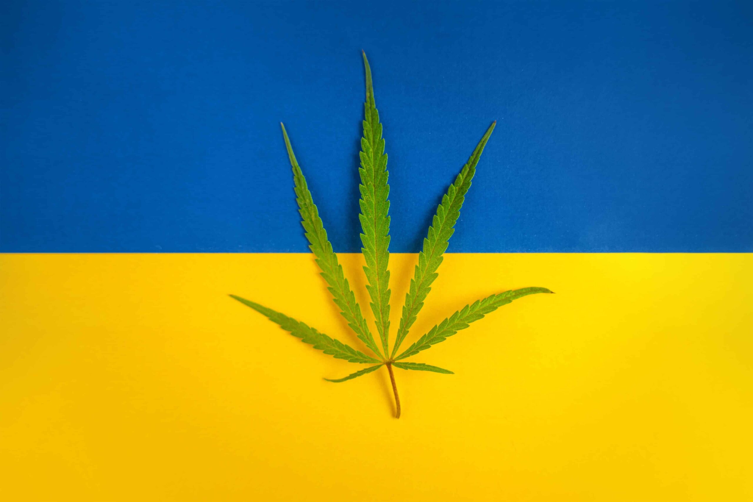 Ukrainian Immigrants Open Dispensary in West Virginia