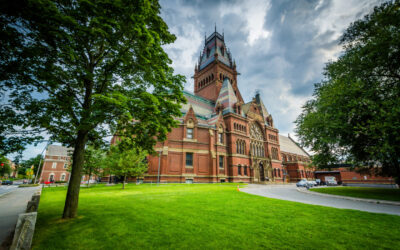 Former Tesla Employee Funds Multi-Million Dollar Harvard Psychedelic Program