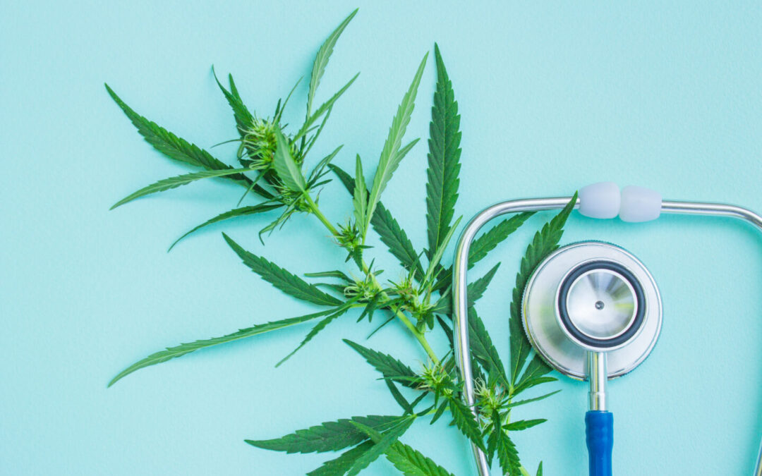 Georgia Department of Health Reports Discovery of Inflated Cannabis Patient Number