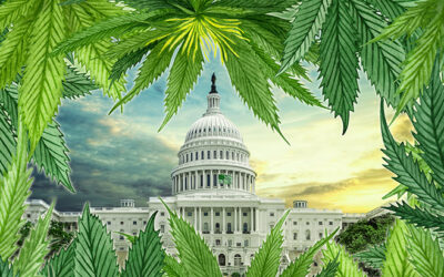 It’s ‘Go Time’ for Cannabis Bills in Congress