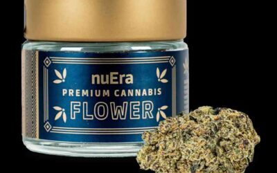 The Winners of the High Times Cannabis Cup Illinois: People’s Choice Edition 2023