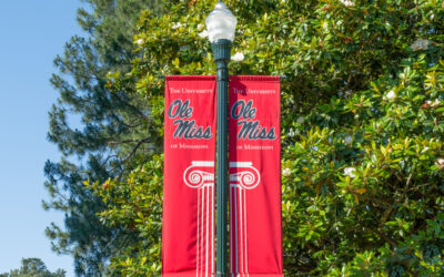 Ole Miss To Offer Masters Degree Program for Medical Cannabis, Supplements
