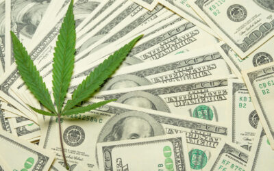St. Louis Fails To Collect $500,000 in Pot Taxes