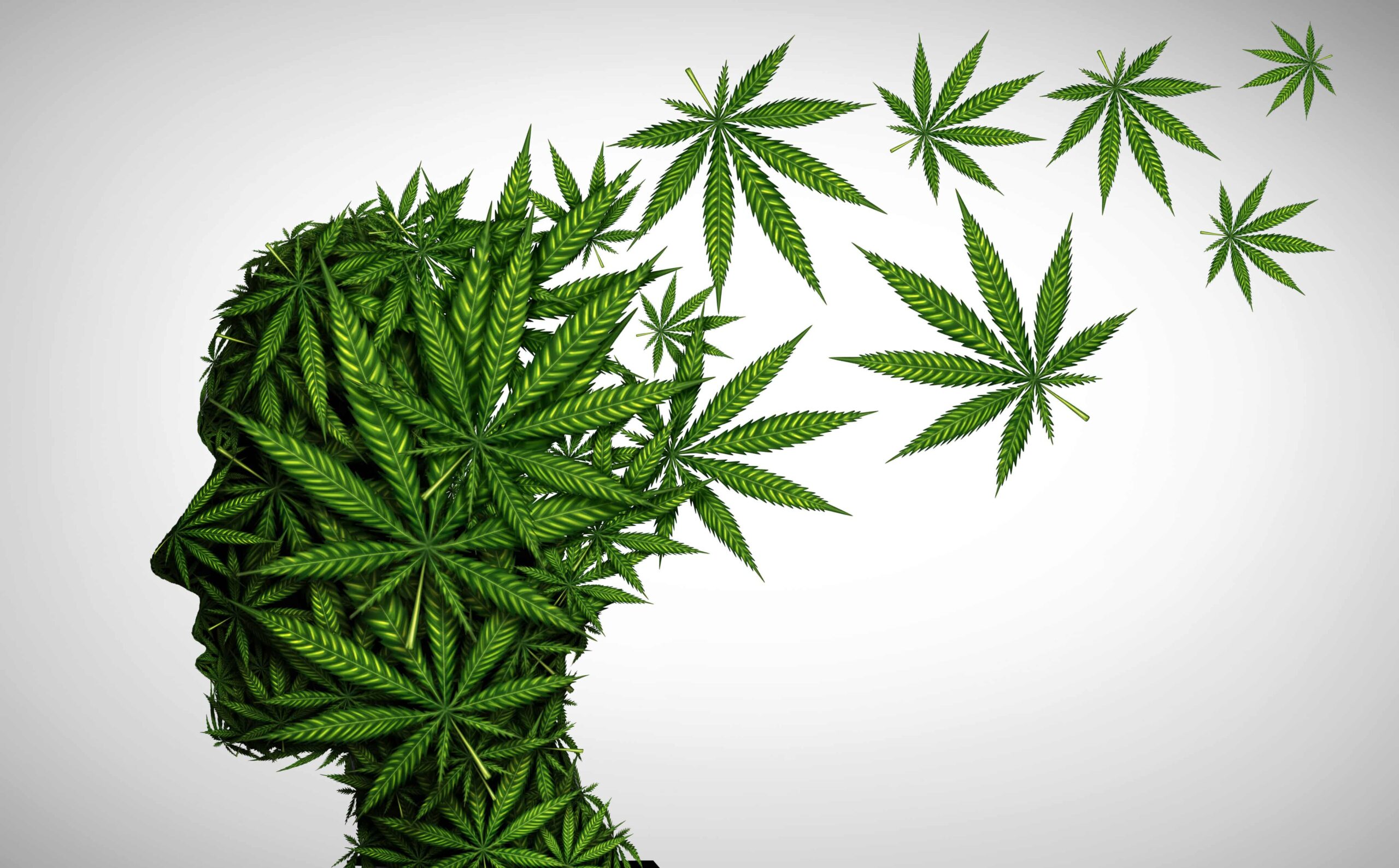 Gallup Poll Shows 70% of Americans Think Cannabis Should Be Legal