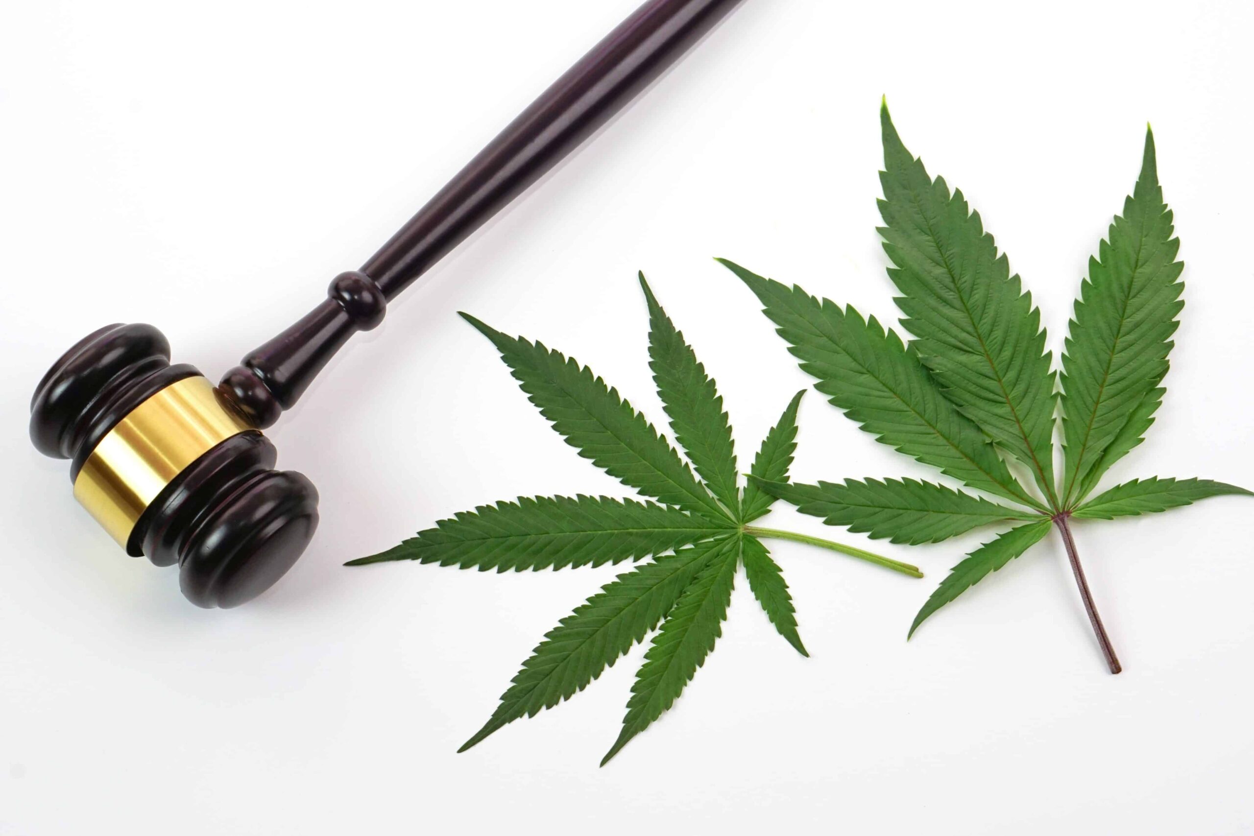 Two Men Sentenced to 16 Years in Prison for Fatal Cannabis Robbery in Oakland