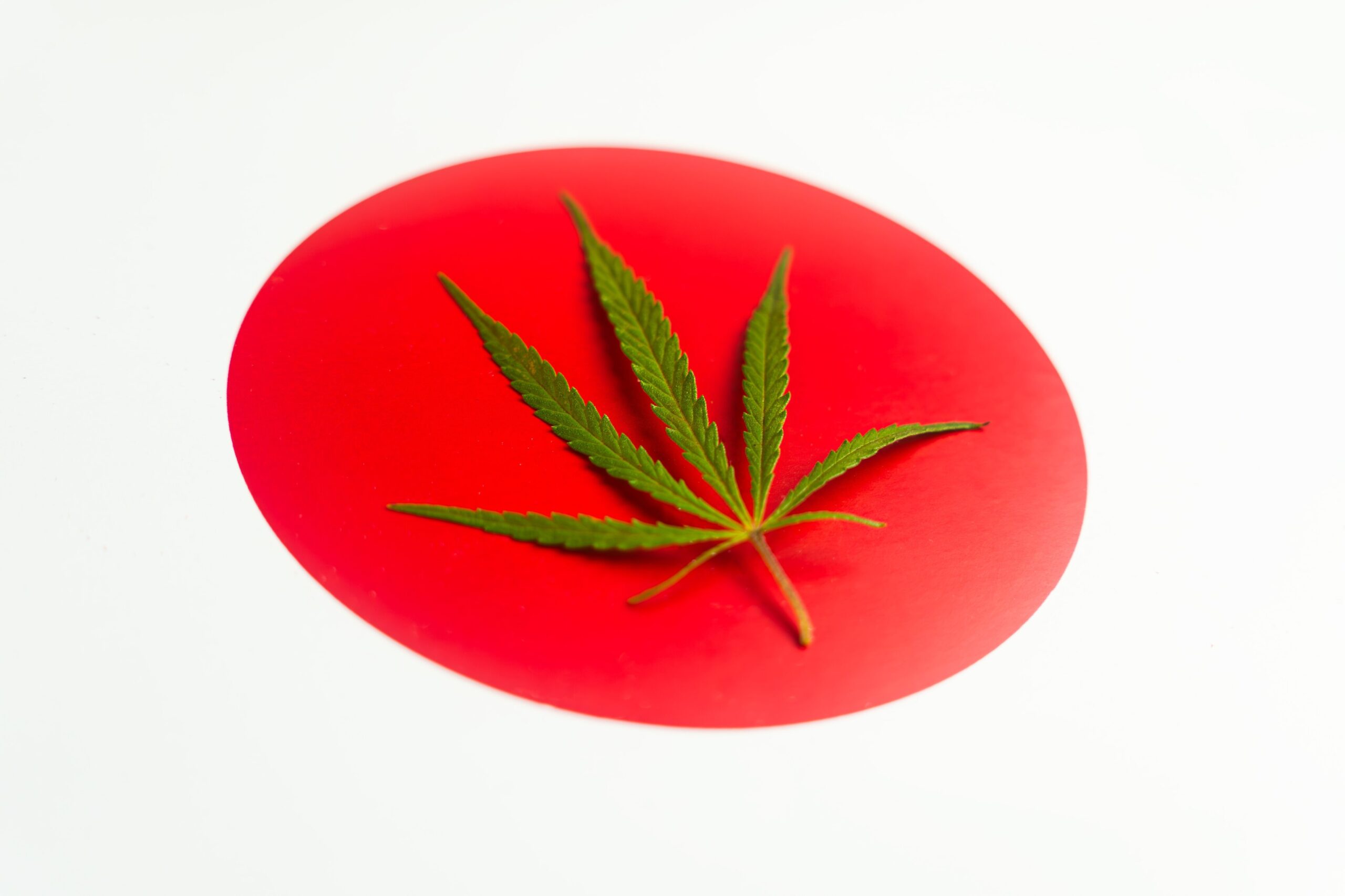 Japanese Hemp Cultivators Working To Revitalize Hemp Industry