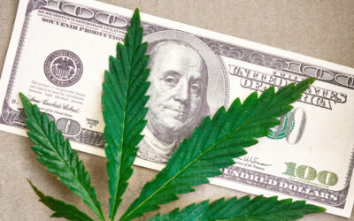 New Wisconsin Report Shares Cannabis Revenue Estimates