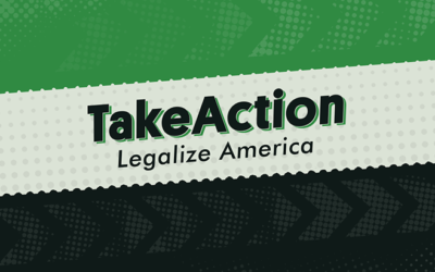 Let VA Doctors Recommend Medical Cannabis