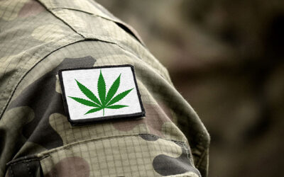 Study: Cannabis Use Associated with Improved Symptoms, Better Sleep in Patients Suffering from Post-Traumatic Stress