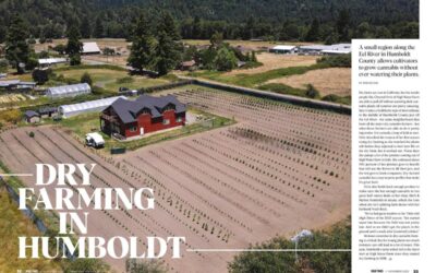 Dry Farming in Humboldt