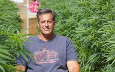 Huckleberry Hill Farms and the history of the Whitethorn Rose cannabis strain