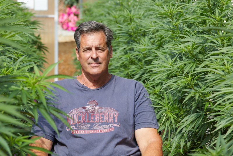 Huckleberry Hill Farms and the history of the Whitethorn Rose cannabis strain