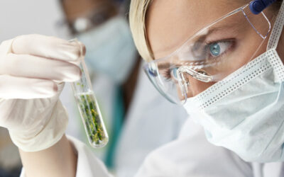 Scientists Have Published Over 30,000 Papers on Cannabis Over the Past Decade