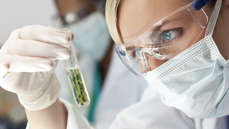 Scientists Have Published Over 30,000 Papers on Cannabis Over the Past Decade