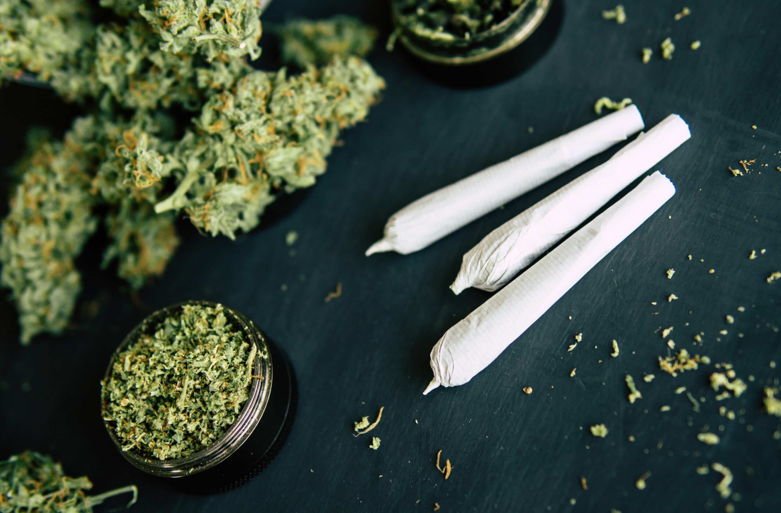 Oregon Weed Glut Continues in 2023