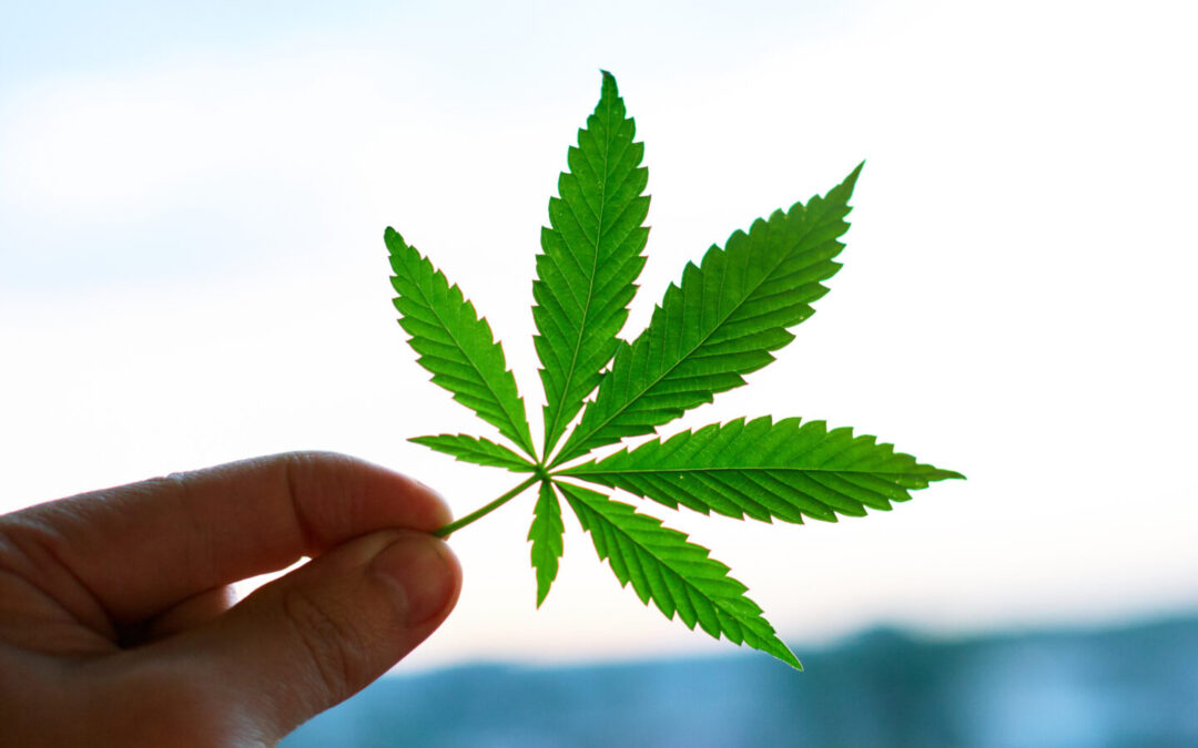 Ohio Congressman To File Federal Cannabis Legalization Bill