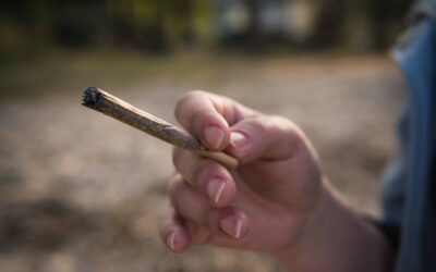 Ohio Doctor Debunks Fentanyl-Laced Pot Myth Perpetuated by Governors