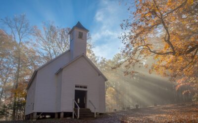 Tennessee Authorities Find Weed Cultivation Site Inside Church