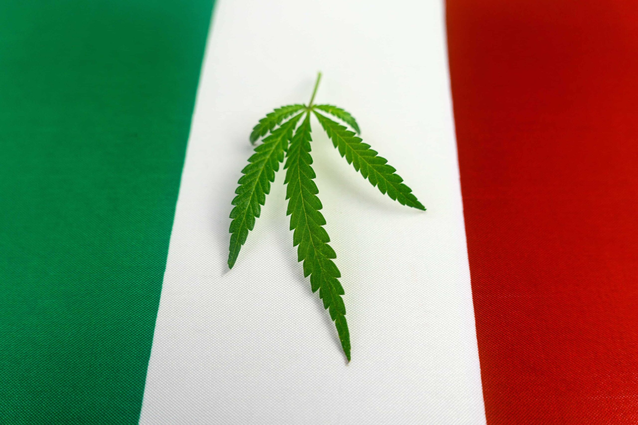 Italian MJ Reform Campaign Gains Nearly Half of Needed Signatures in One Week