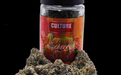 The Winners of the High Times Cannabis Cup Oregon: People’s Choice Edition 2023