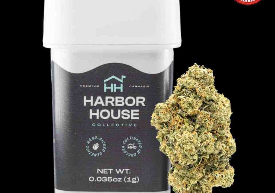 The Winners of the High Times Cannabis Cup Massachusetts: People’s Choice Edition 2023
