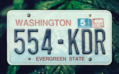 Washington: House Lawmakers Move To Lift Home Grow Ban, Reject Proposed THC Potency Limits