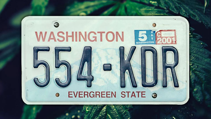 Washington: House Lawmakers Move To Lift Home Grow Ban, Reject Proposed THC Potency Limits