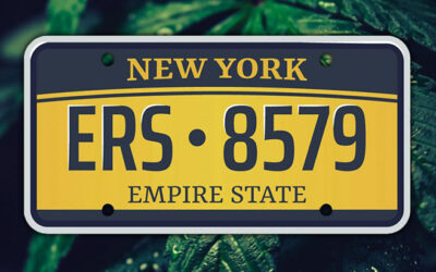 New York: Regulators to Sign Off on Home Cultivation Rules at February Meeting