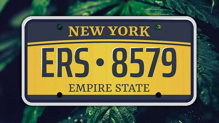 New York: Regulators to Sign Off on Home Cultivation Rules at February Meeting