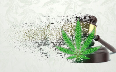 Pardons Are the First Step in Federal Cannabis Reform