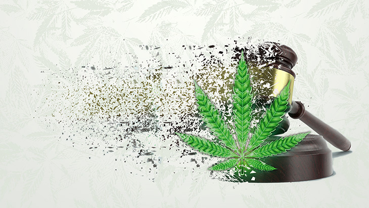Pardons Are the First Step in Federal Cannabis Reform