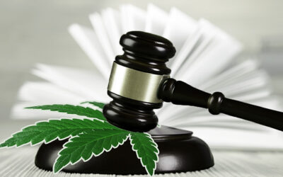 Updated NORML Report Highlights Over 2.3 Million Marijuana-Related Expungements